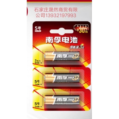 5號(hào)電池南孚