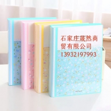 文件夾 得力 40頁