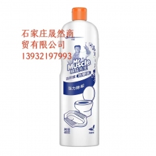 潔廁靈威猛480 24瓶裝/箱