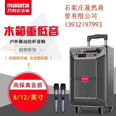 萬利達拉桿音箱