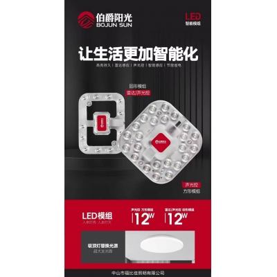 12W燈芯聲光控制